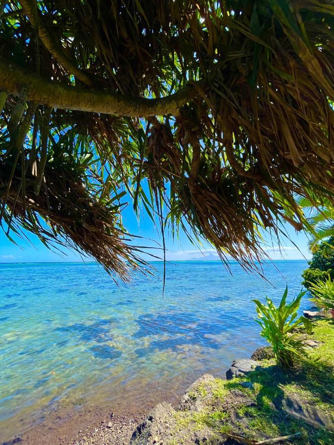 O'Coco Bungalow- Breathtaking Waterfront Views, Endless Memories Paea Eksteriør bilde