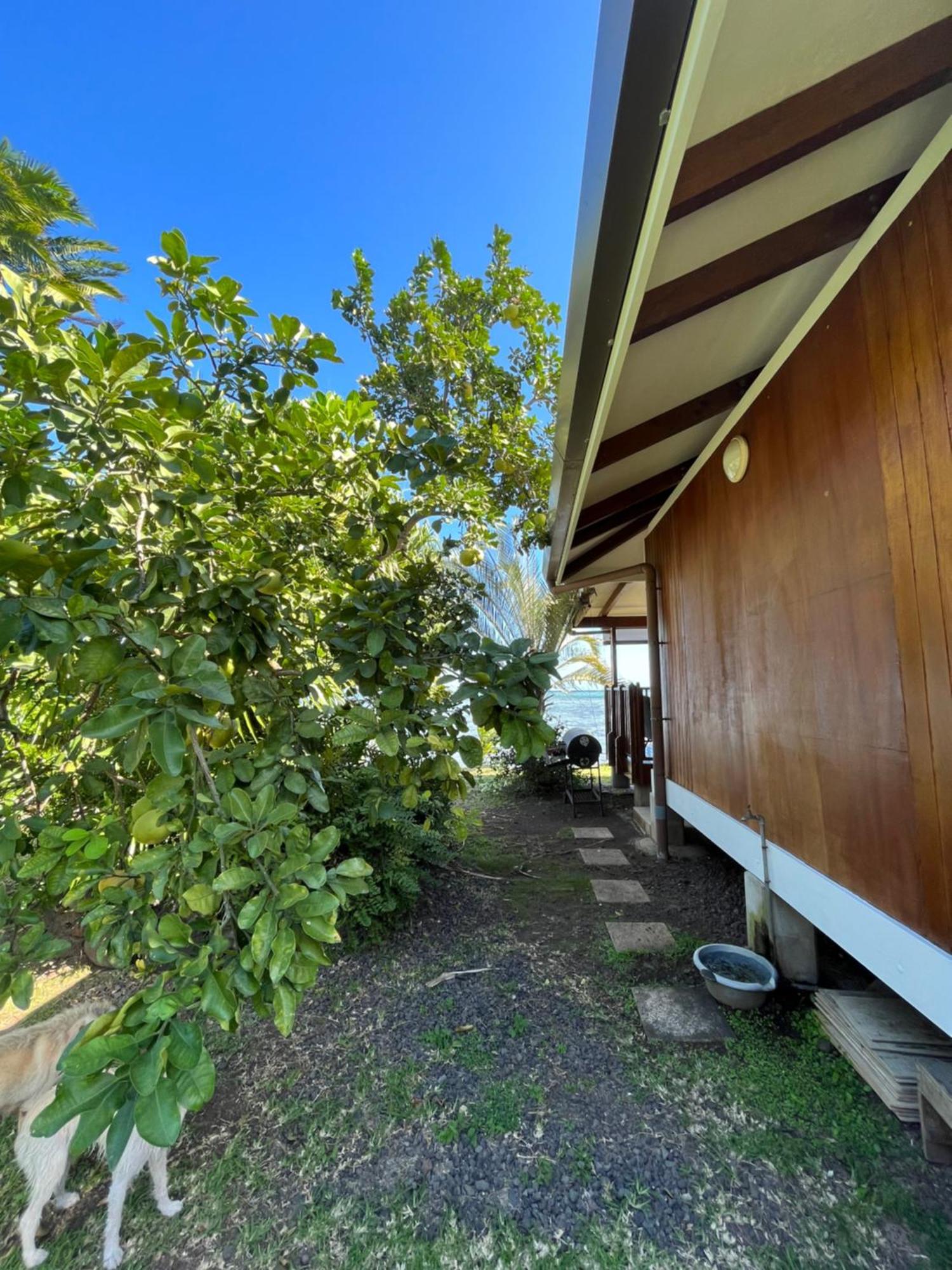 O'Coco Bungalow- Breathtaking Waterfront Views, Endless Memories Paea Eksteriør bilde